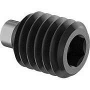 BSC PREFERRED Alloy Steel Brass-Tip Set Screw Black-Oxide M5 x 0.8 mm Thread 6 mm Long, 5PK 94085A120